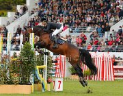 AMILIBIA NOTRE STAR LaBaule2013- S5 8605 : 2013, AMILIBIA PAOLA, La Baule, NOTRE STAR DE LA NUTRIA, foto di Stefano Secchi ©